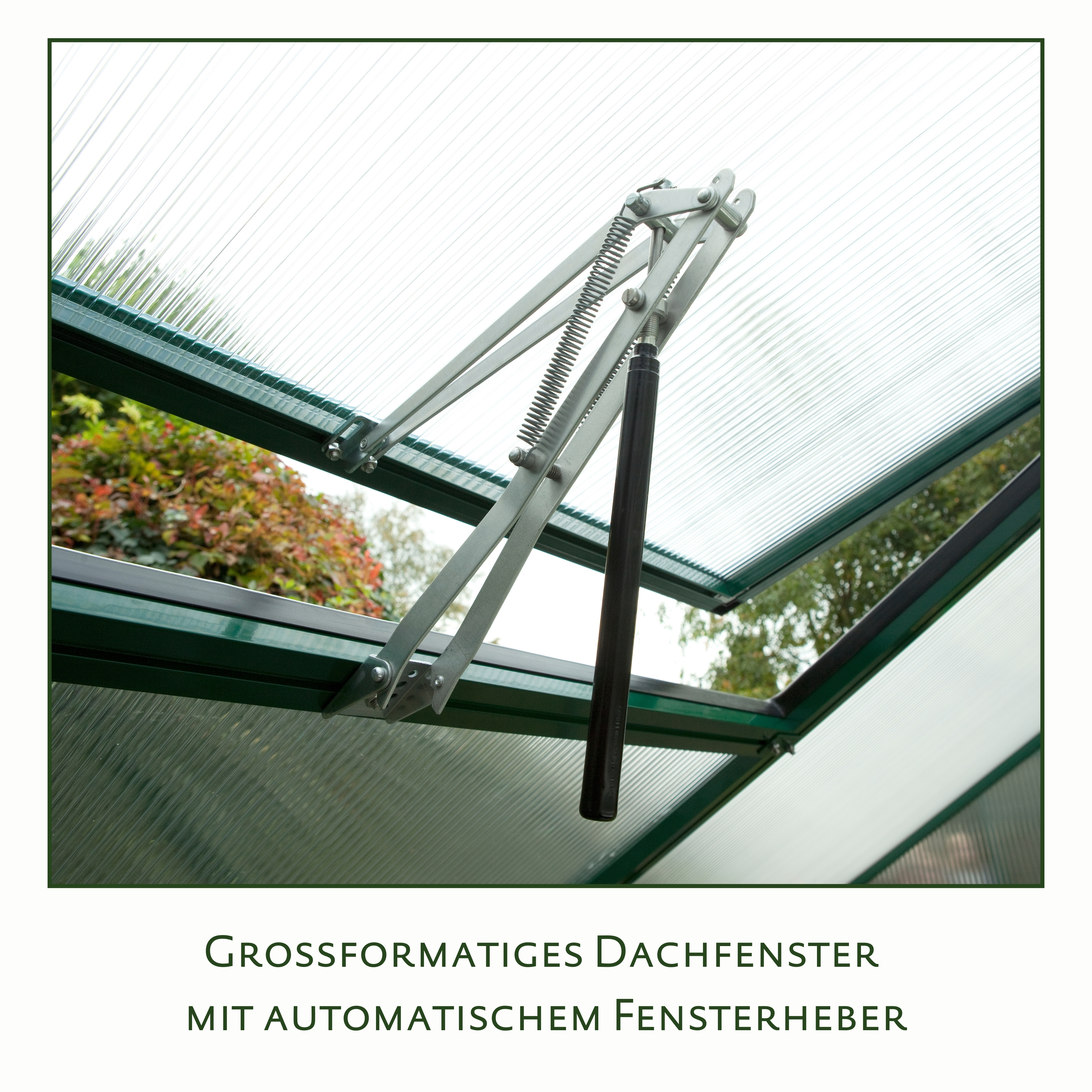 Gewächshaus Lilie III - anthrazit-grau