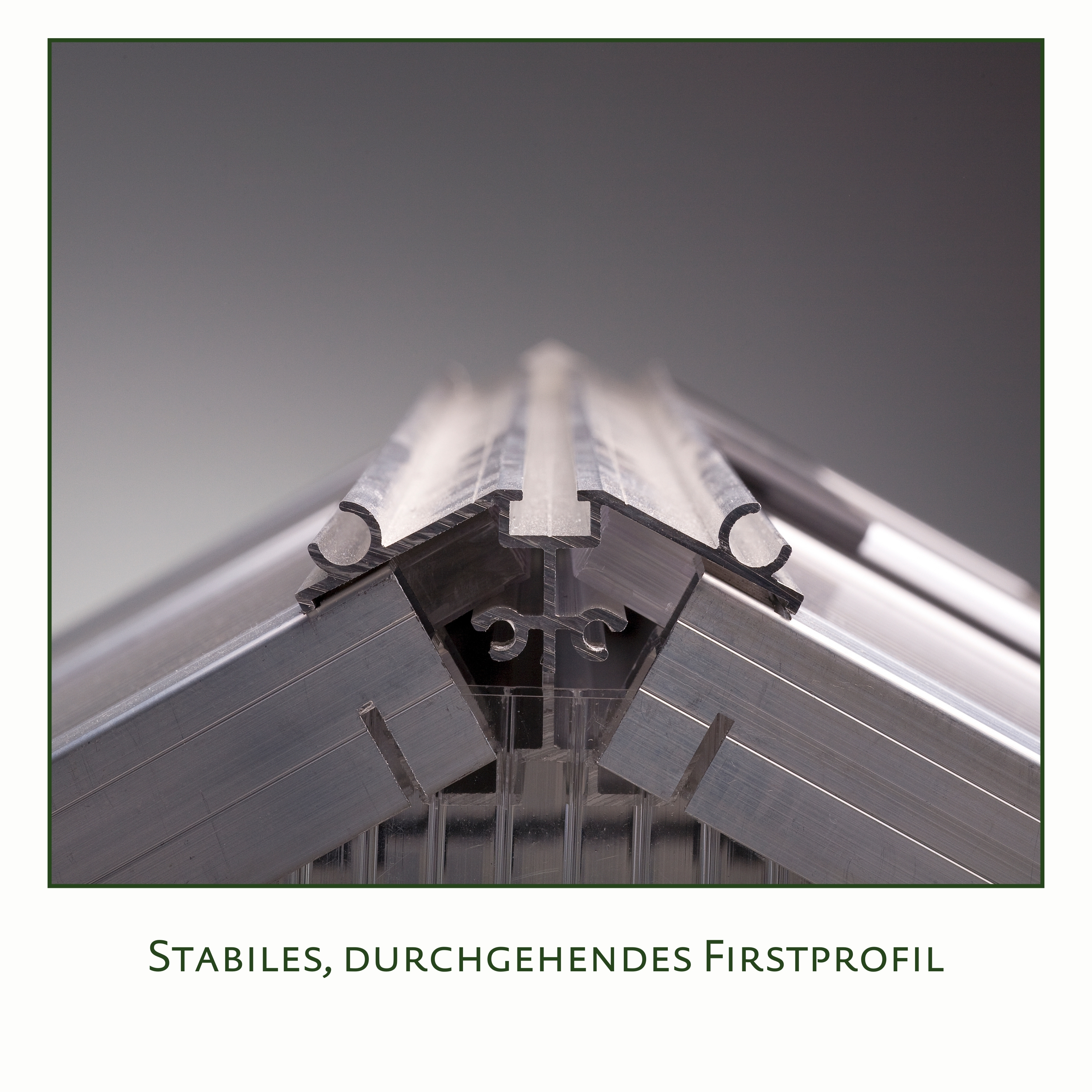 Gewächshaus Lilie III - anthrazit-grau