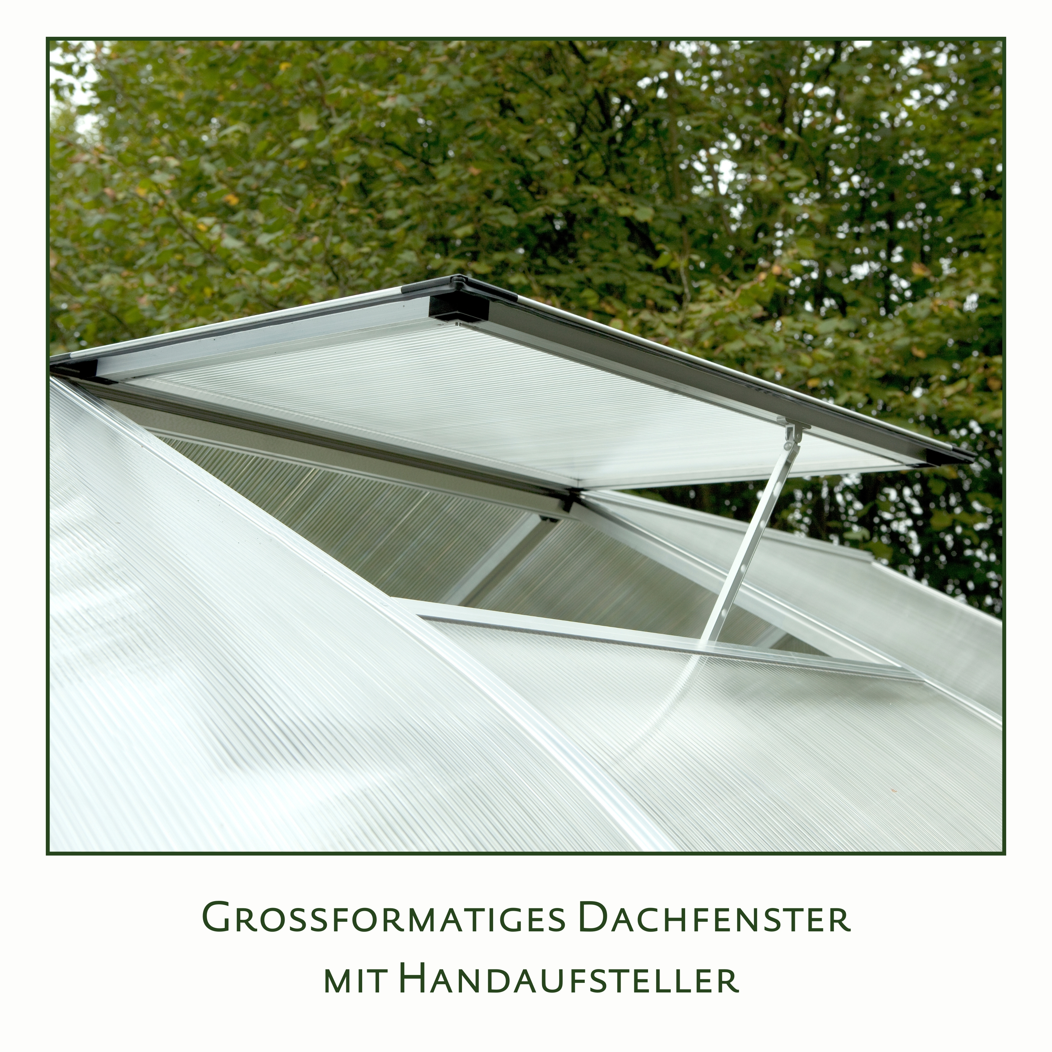 Gewächshaus Rhodo IV - pressblank